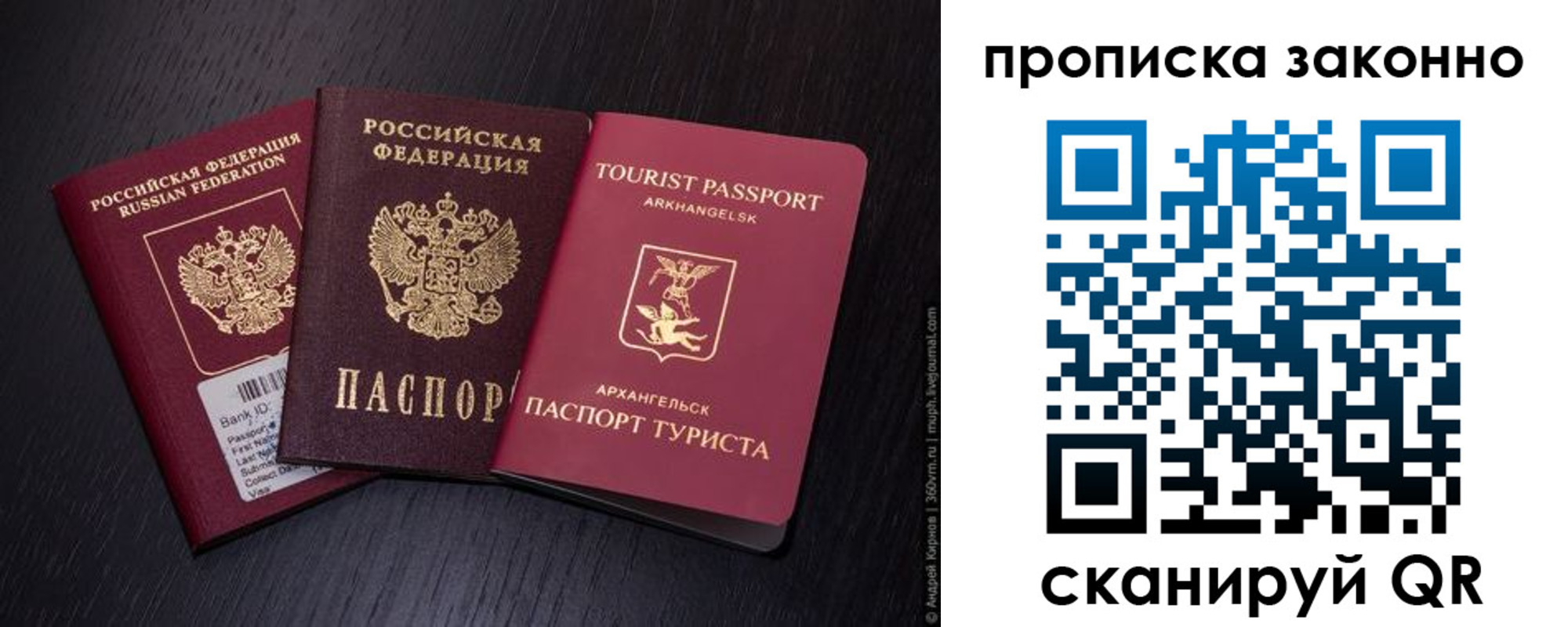 прописка штамп в Рошале